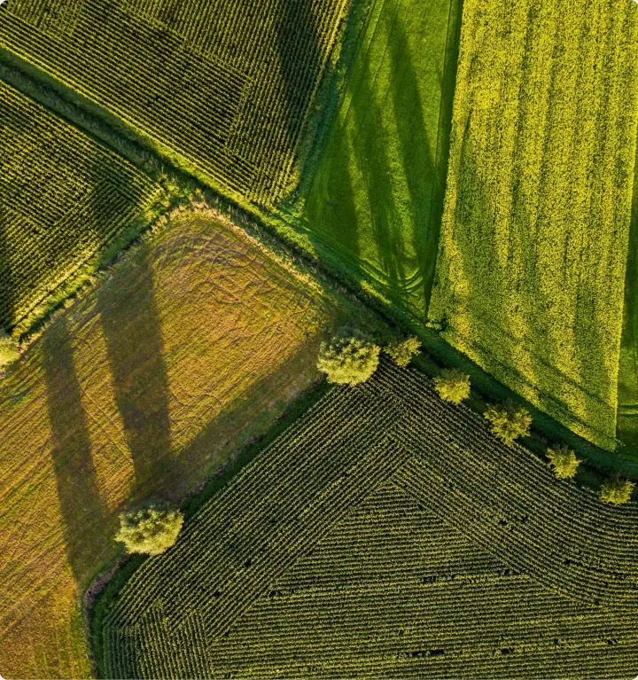 Aerial view of agricultural fields